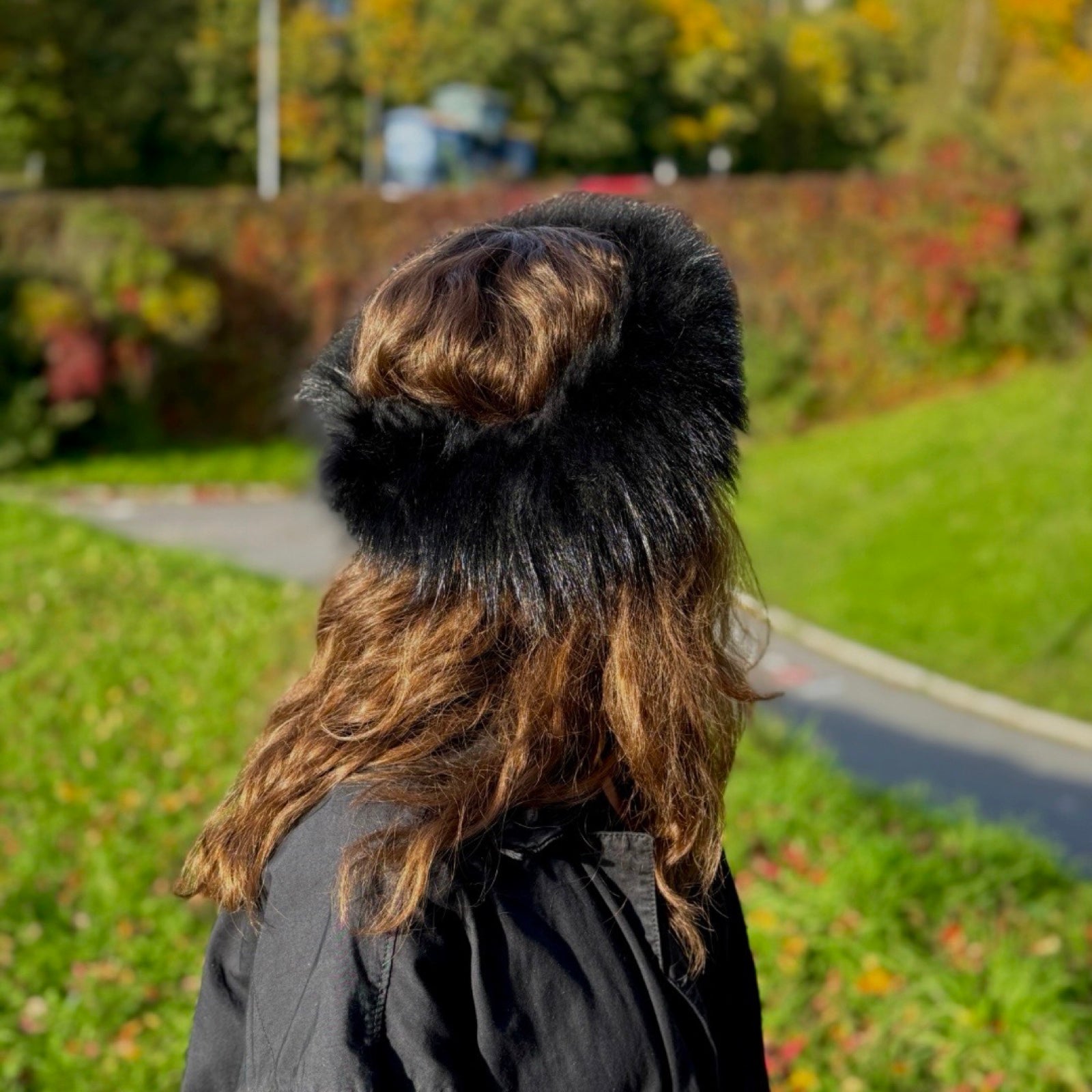 Møller Pels Krave/Pannebånd mårhund, svart