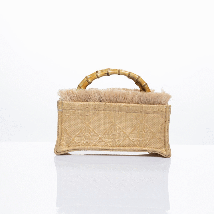 2116-sorena-aelia-mini-tote (2)